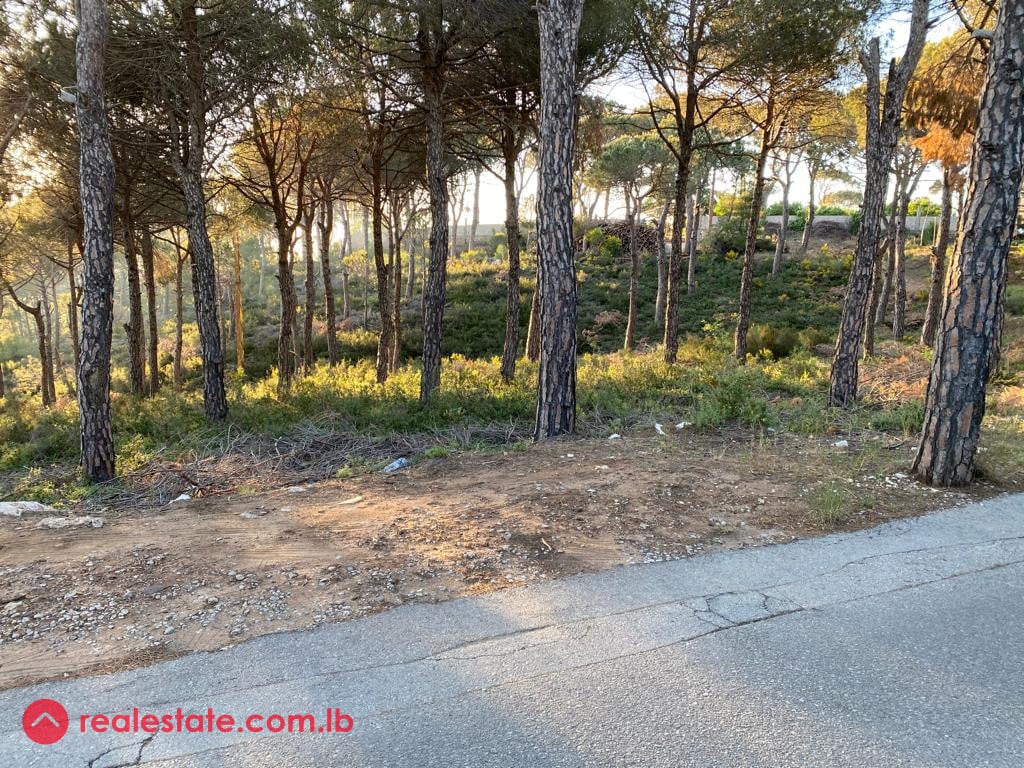 Exceptional 6,300 sqm Plot in Baabdath. — Hub Realtors