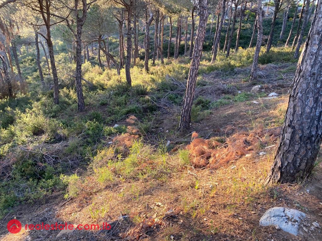 Exceptional Land With Mountain View in Bikfaiya — Hub Realtors