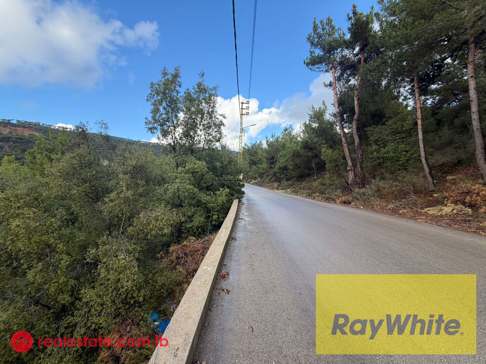 Land for Sale in Mar Moussa – 1,000 SQM | Open View — Hub Realtors