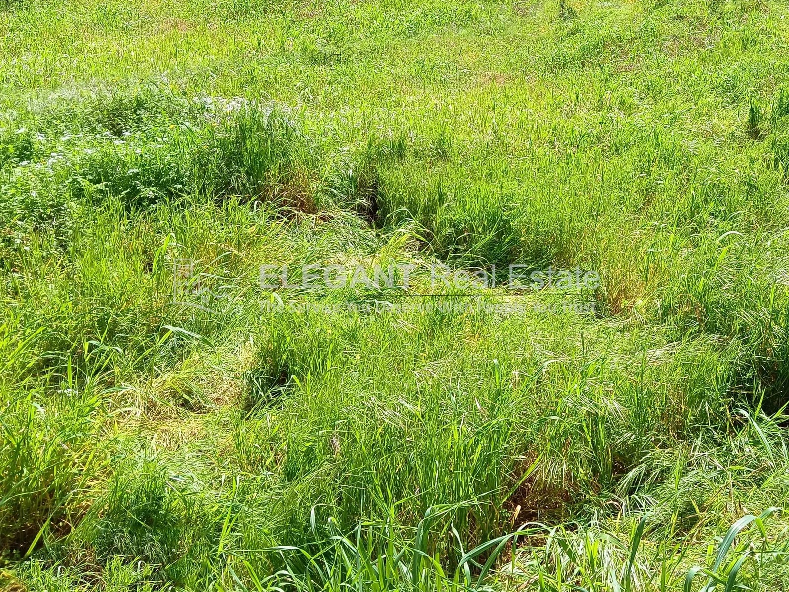 Beautiful Land | Green Neighborhood | Calm Surrounding — Hub Realtors