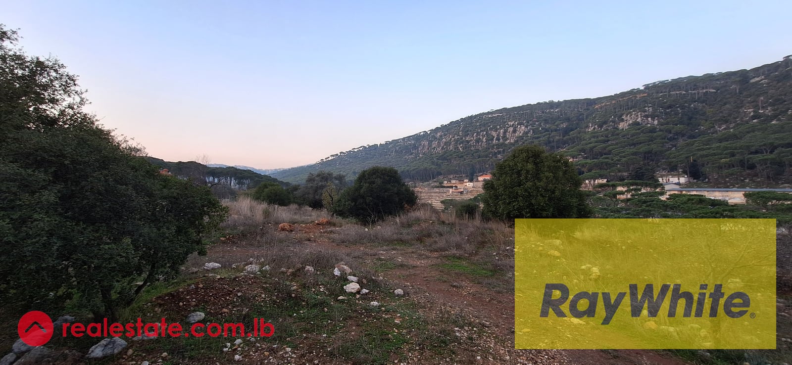 Land forSale in Arsoun — Hub Realtors