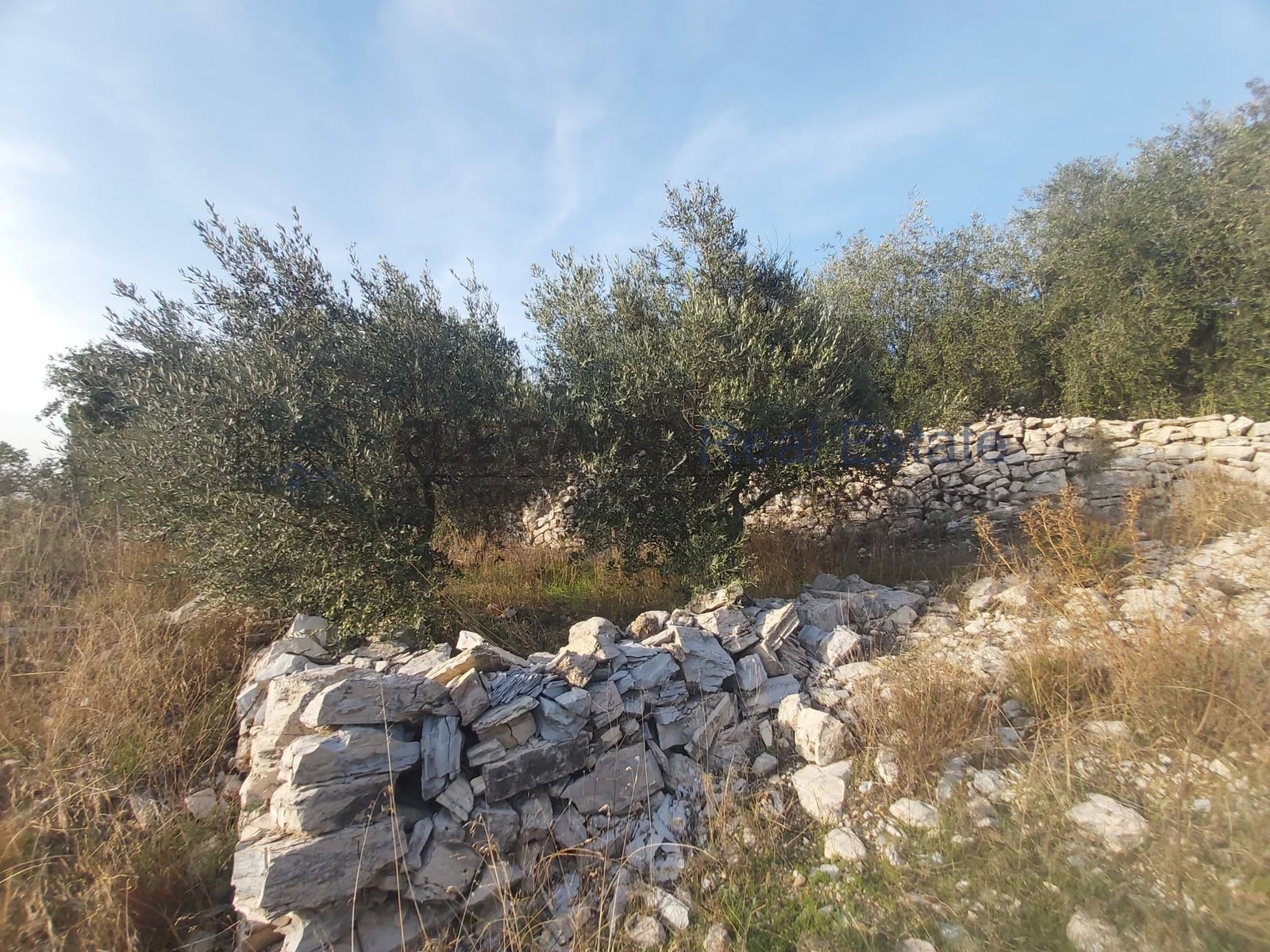 Plot Of Land with An Old House! — Hub Realtors