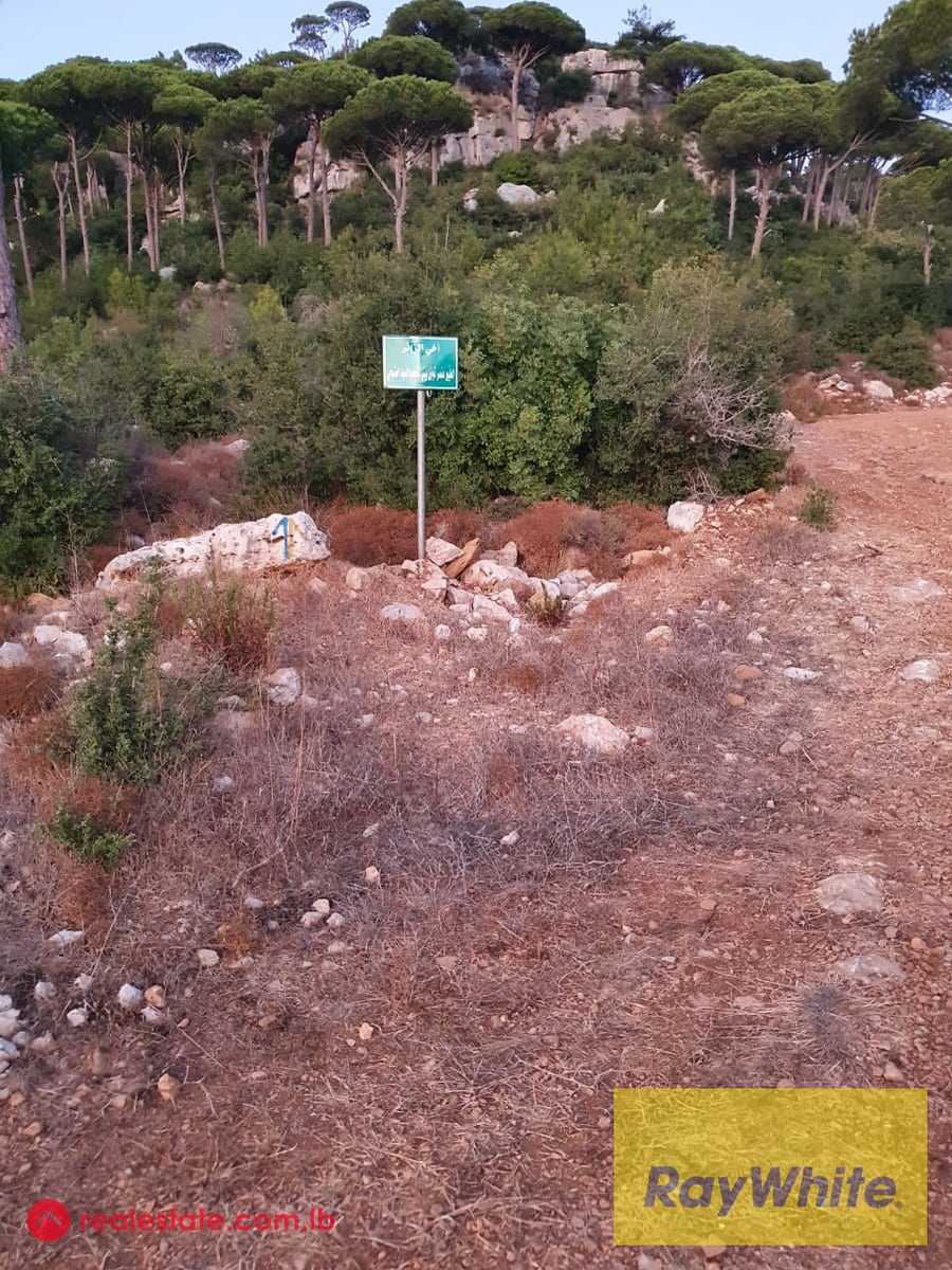 Multiple Lands for Sale in Ras Al Maten — Hub Realtors