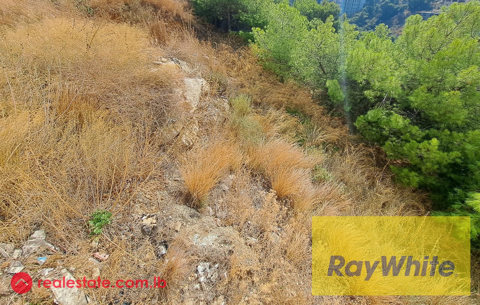 Land for sale in Mtayleb — Hub Realtors