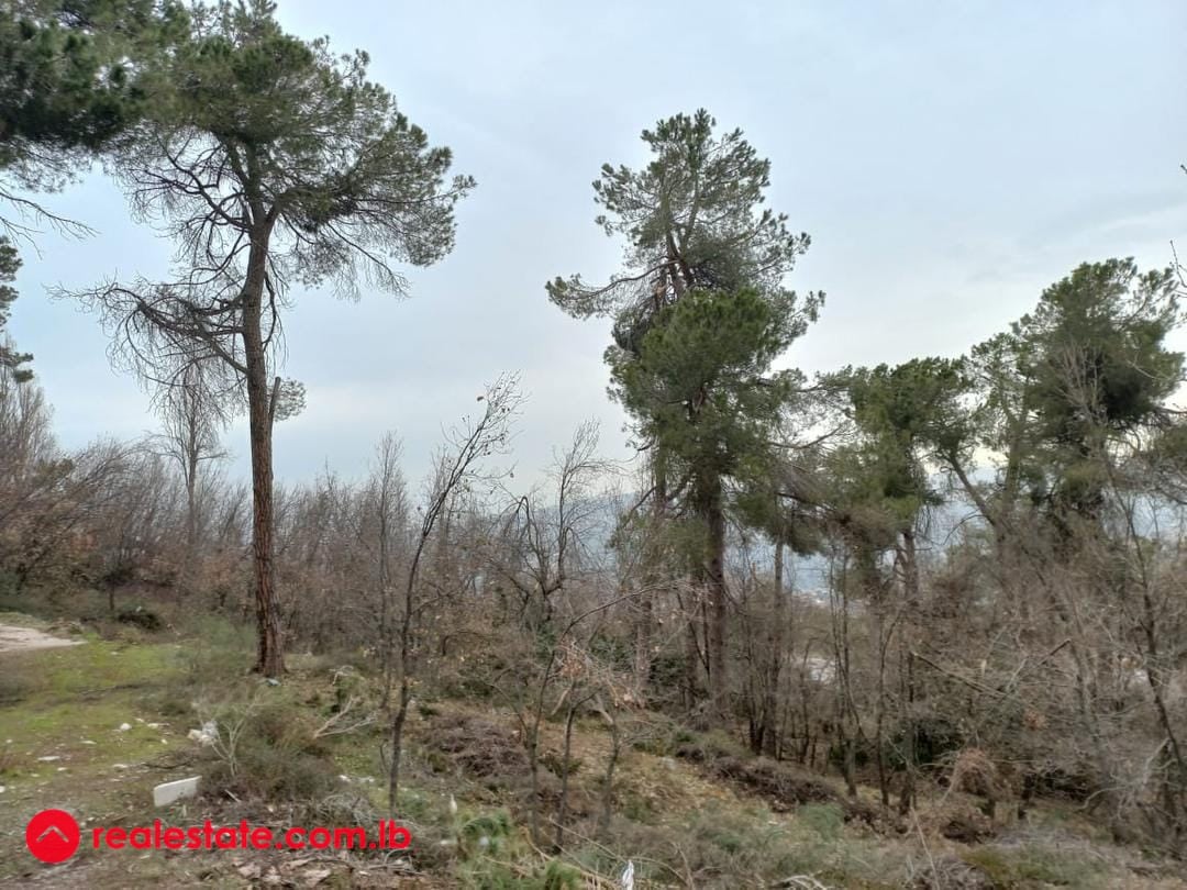Exceptional offer.... 500sqm Land for 130,000USD — Hub Realtors