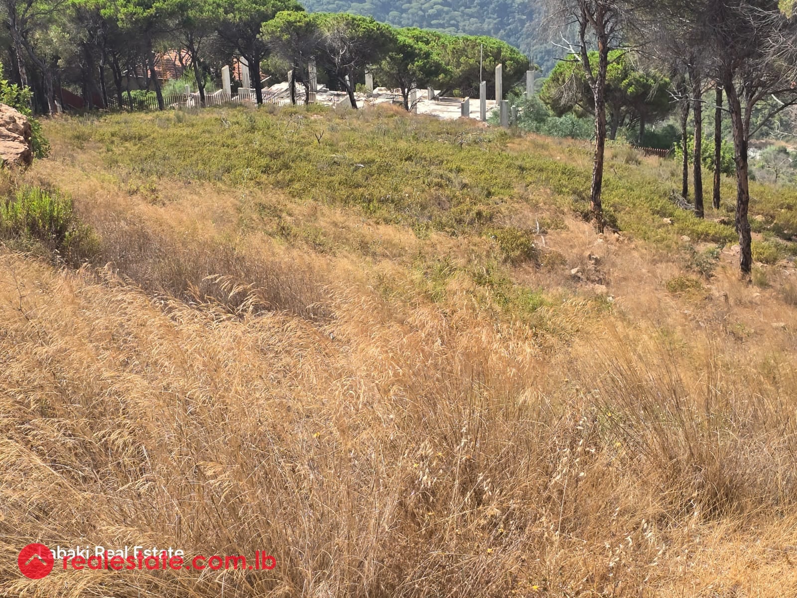 Prime Land for Sale in Baabdat – Excellent Investment Opportunity — Hub Realtors