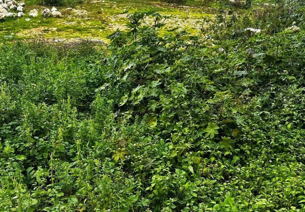 Beautiful Land | Calm Area | Easy Access — Hub Realtors
