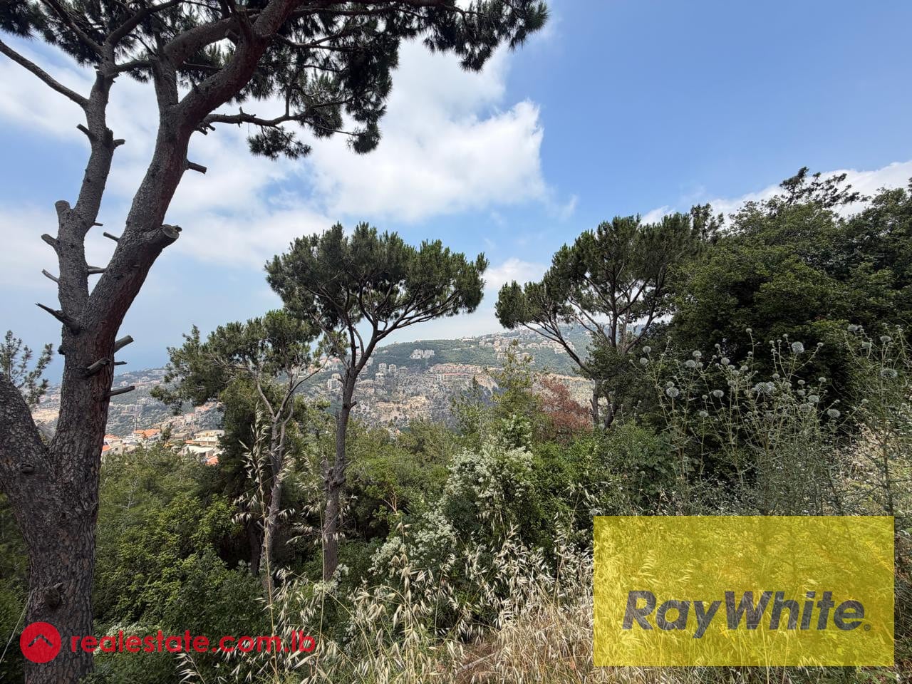Land for Sale in Nabay |1,510 SQM — Hub Realtors