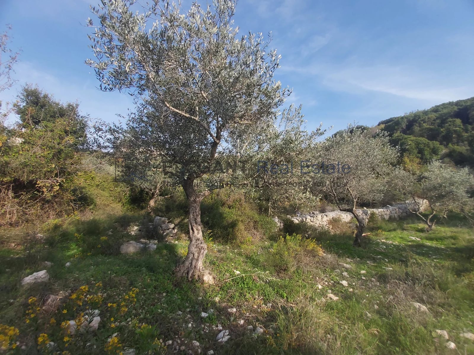 Beautiful Land | Beit Hebbak — Hub Realtors