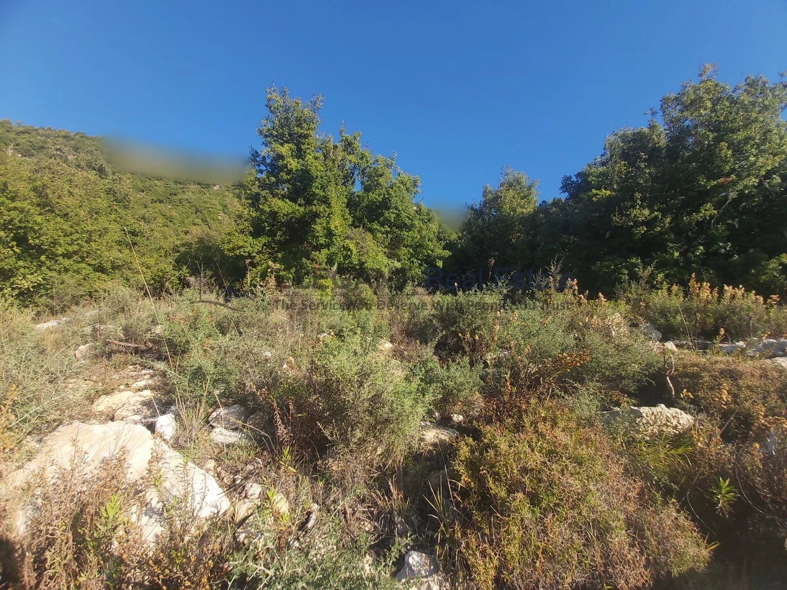 Plot Of Land | Prime Location — Hub Realtors