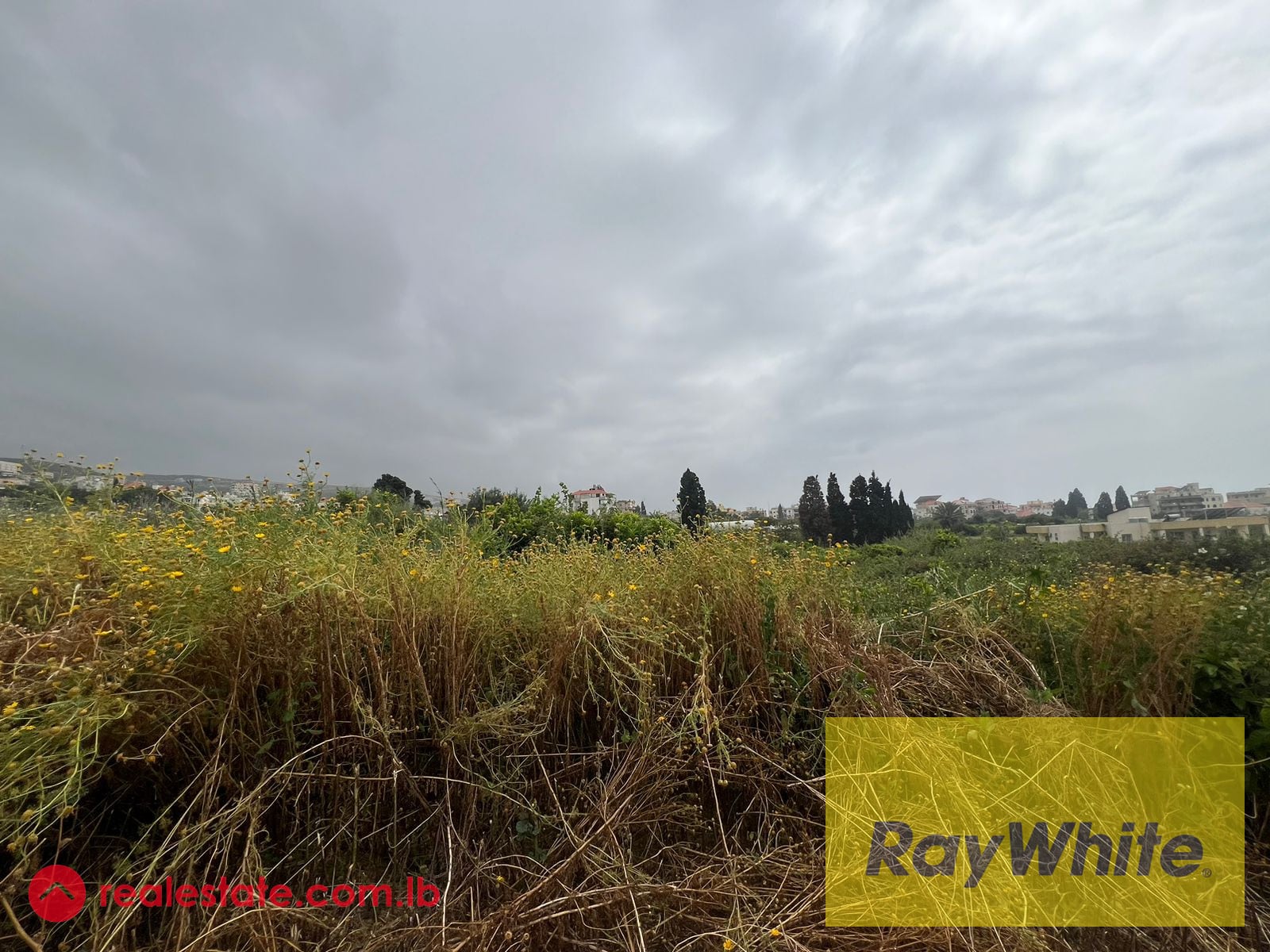 Land For Sale In Batroun — Hub Realtors