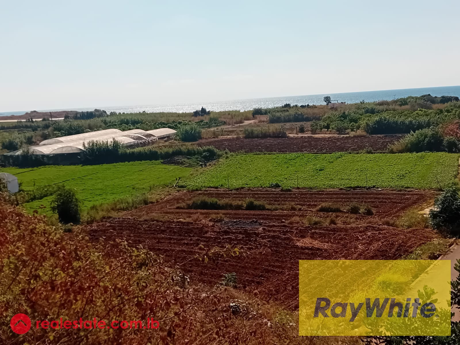 Land for Sale in Damour — Hub Realtors