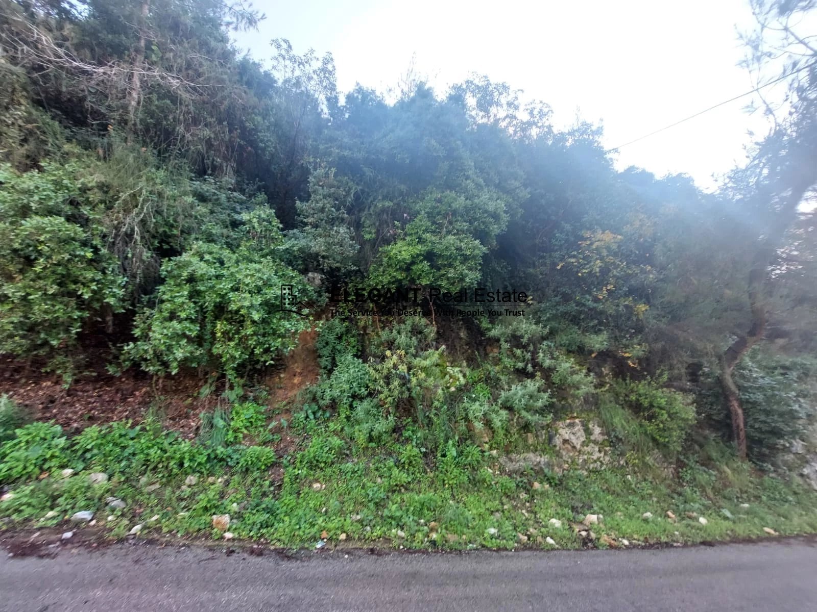 **Hot Deal *|Beautiful Land | Green View | — Hub Realtors