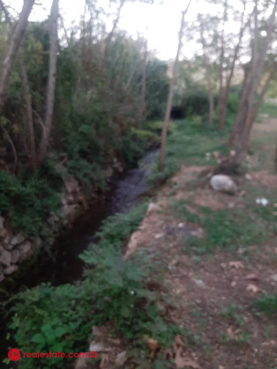 Prime 6000 sqm Riverside Plot in Kaftoun Koura – Ideal for Resort Development — Hub Realtors