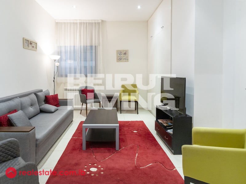 Colorful Fully Furnished Flat — Hub Realtors