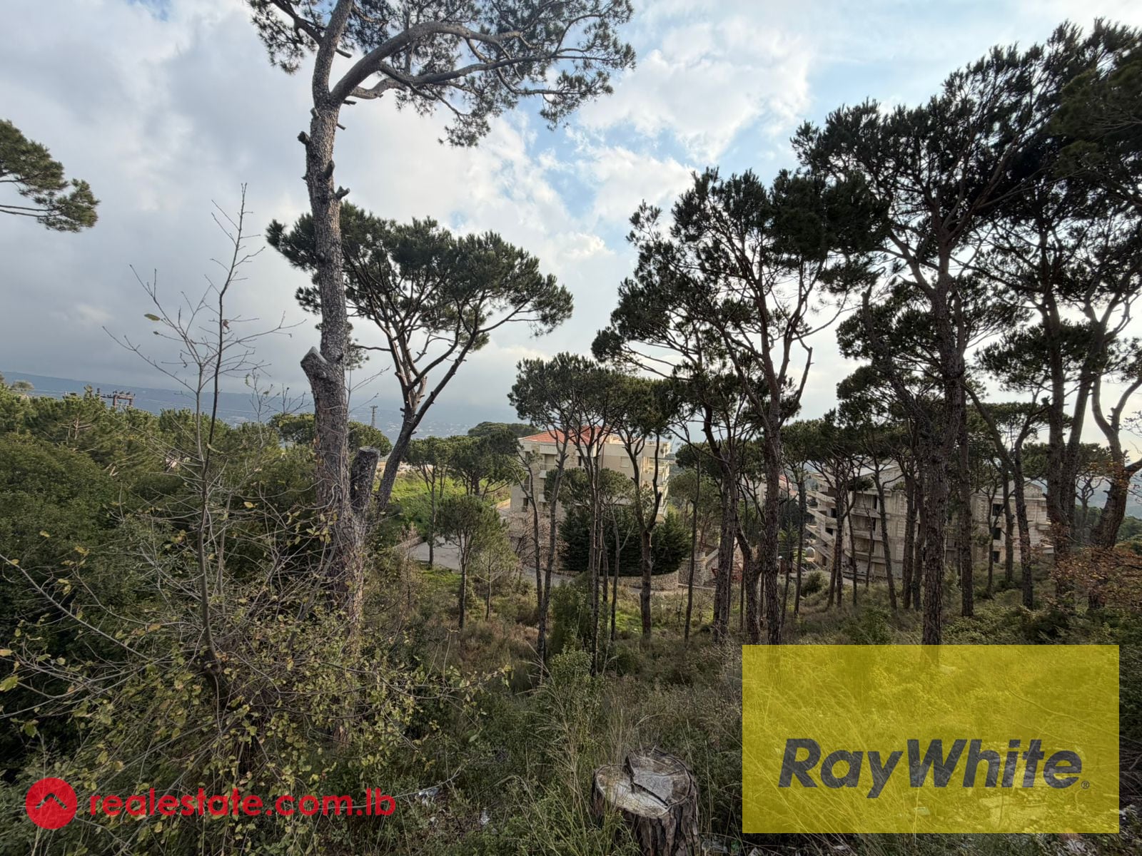 Land for Sale in Mar Moussa – 1,313 sqm — Hub Realtors