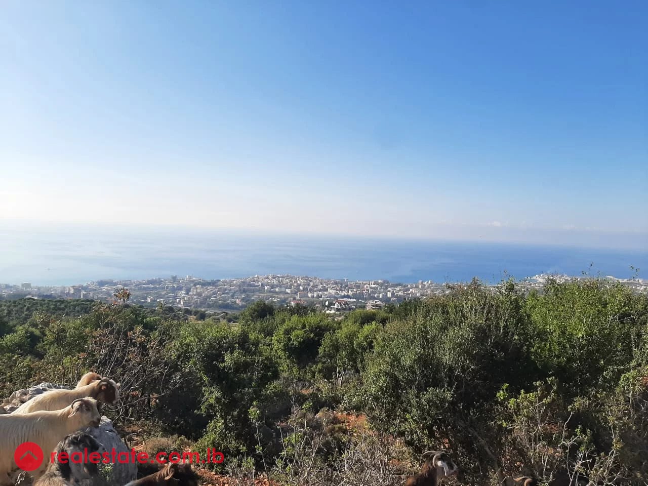 For Sale-Land in the Heart of Batroun with Stunning Views — Hub Realtors