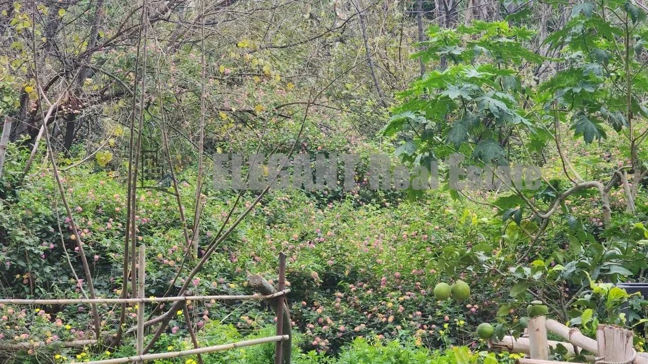 Land for Sale Antelias | 814 Sq.m — Hub Realtors