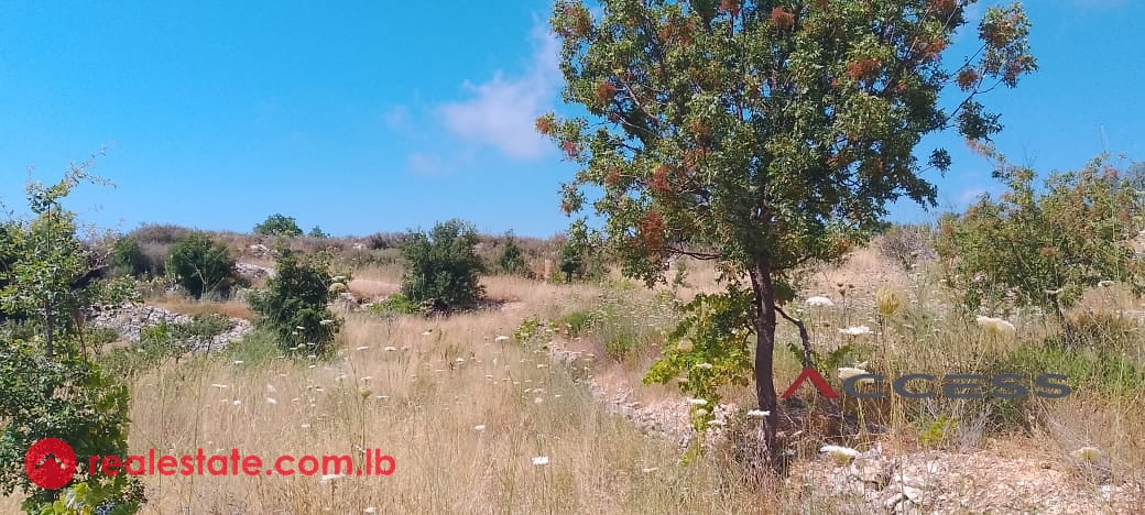 Land for Sale – Lehfed, Jbeil — Hub Realtors
