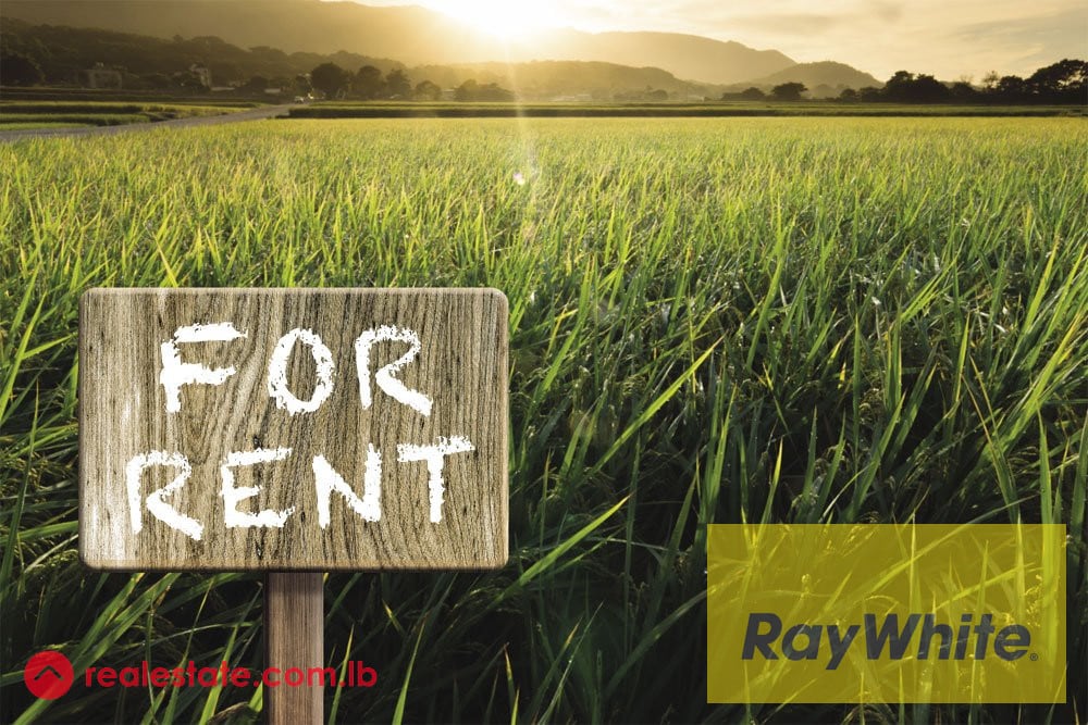 Land For Rent in Horch Tabet — Hub Realtors