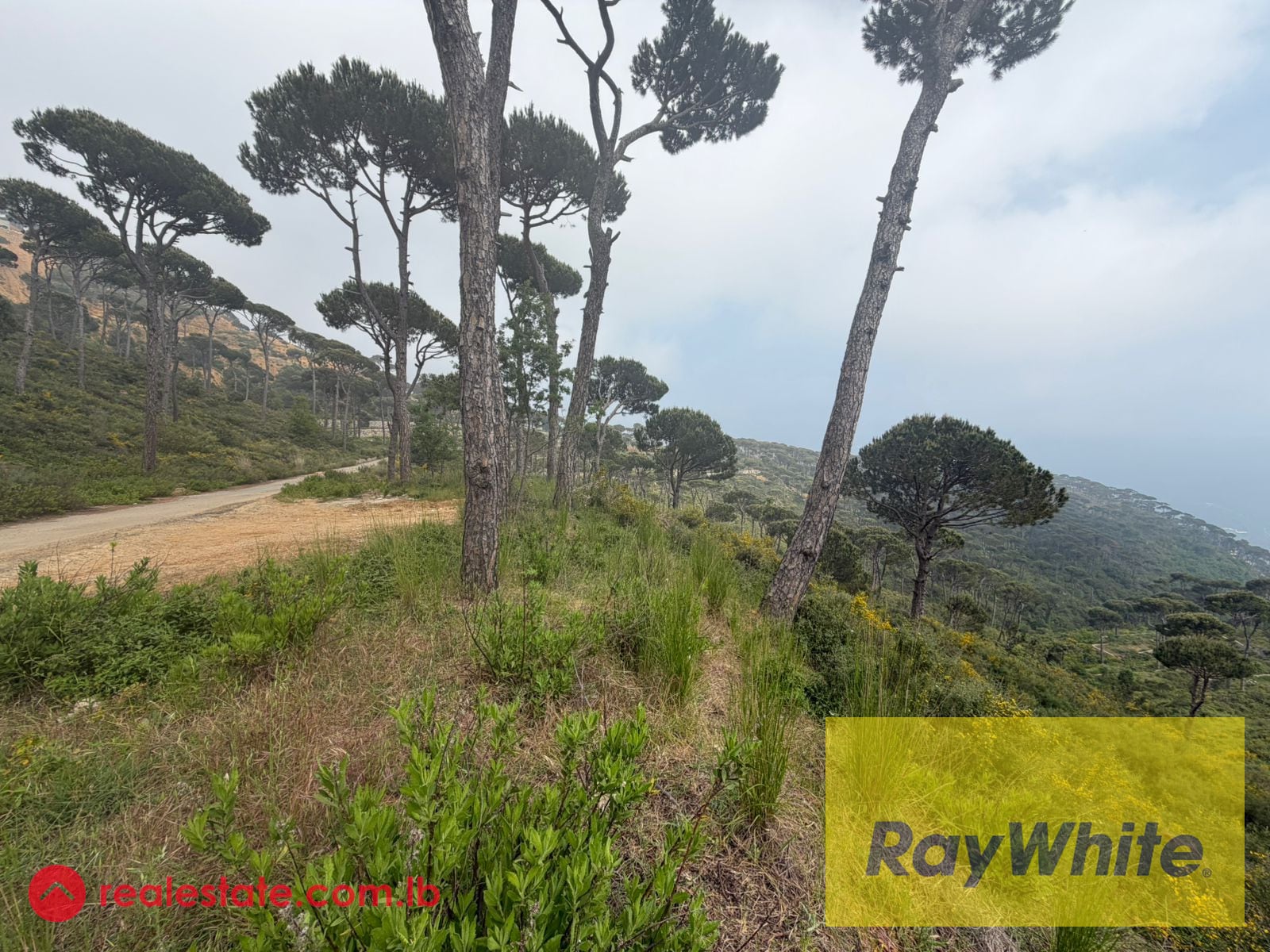 Land for Sale in Choueir — Hub Realtors