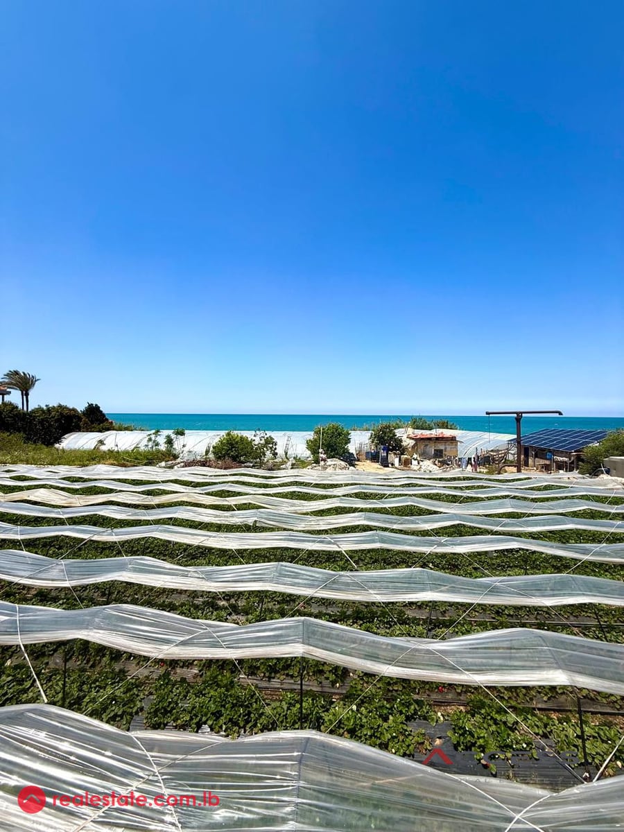 Land for sale in Nahr Ibrahim – Jbeil — Hub Realtors