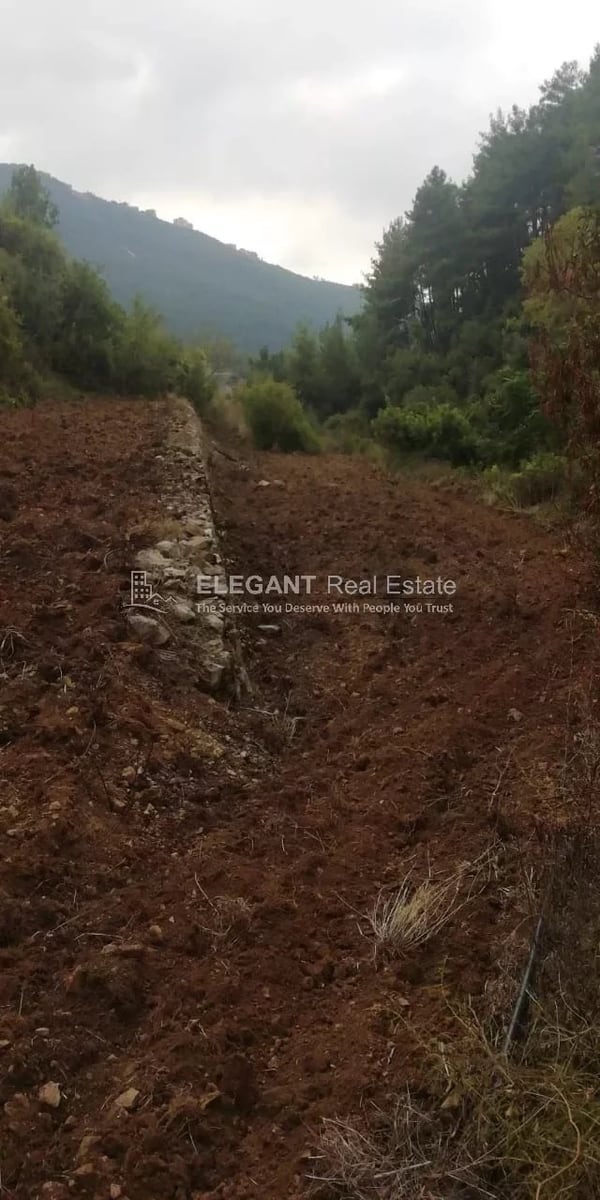 Land for Sale | Spring Water | Bchelli – Jbeil — Hub Realtors