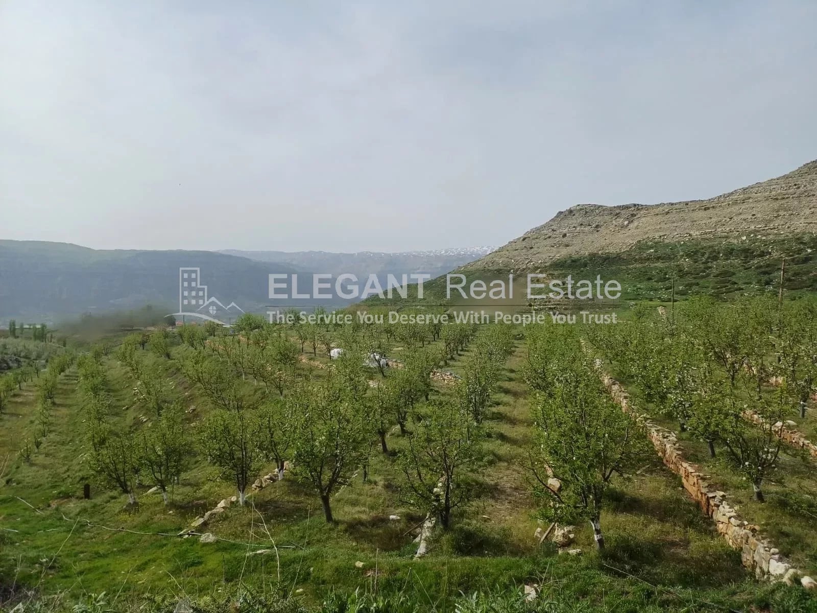 Awesome Spacious Land | Artesian Wells — Hub Realtors