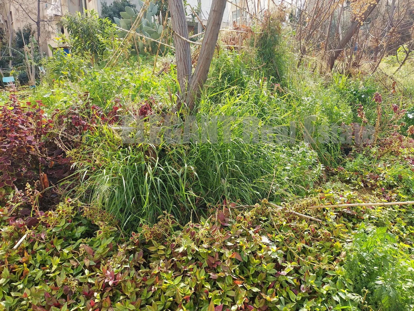 Unique Land For sale in Kaslik — Hub Realtors