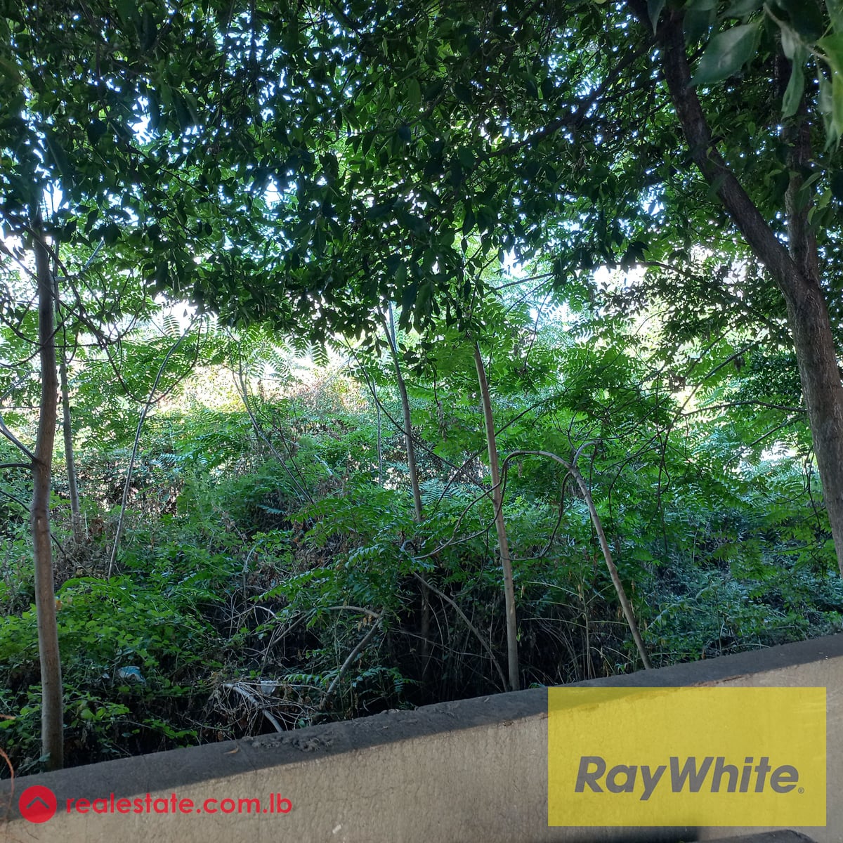 Land in Jal El dib for sale — Hub Realtors