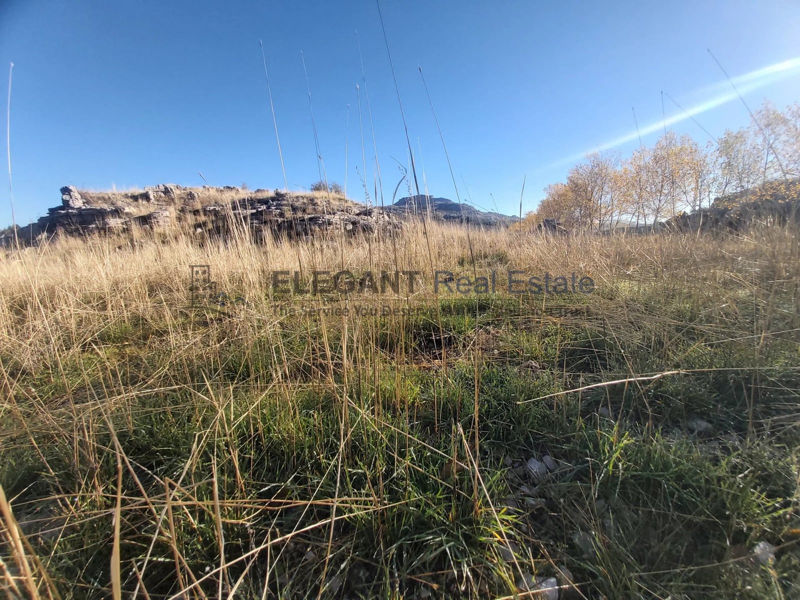 Wonderful Land | Flat Area — Hub Realtors