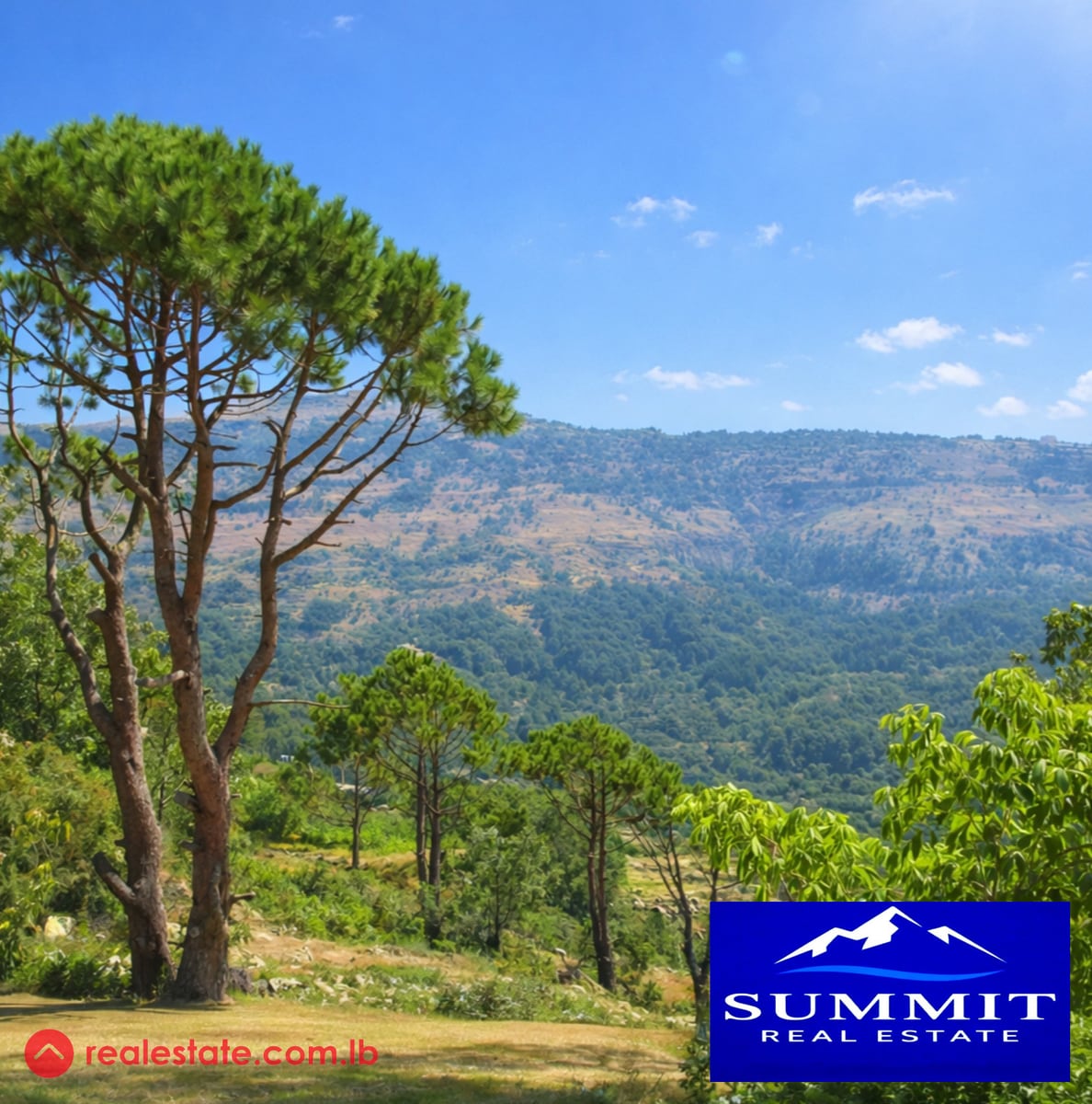 Huge Land for Sale – Kfardebian |Faraya–Faqra Road| — Hub Realtors