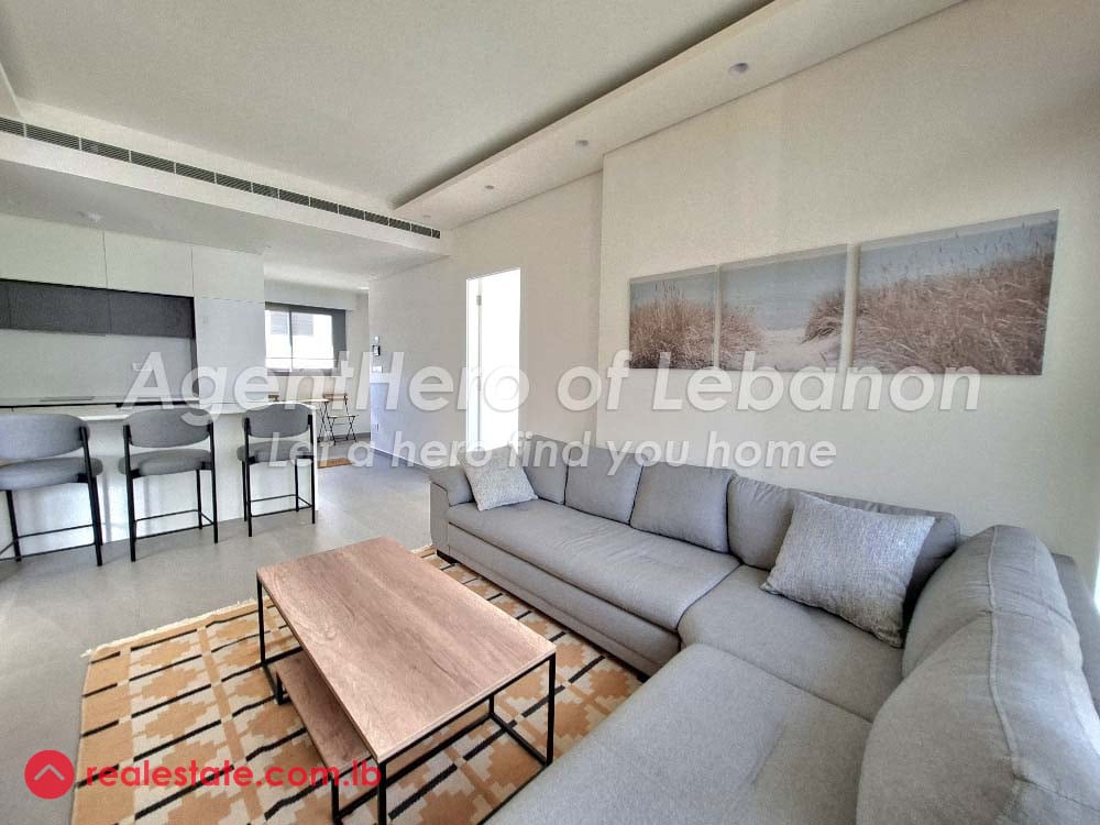 New Apartment | New Furniture | New Building — Hub Realtors