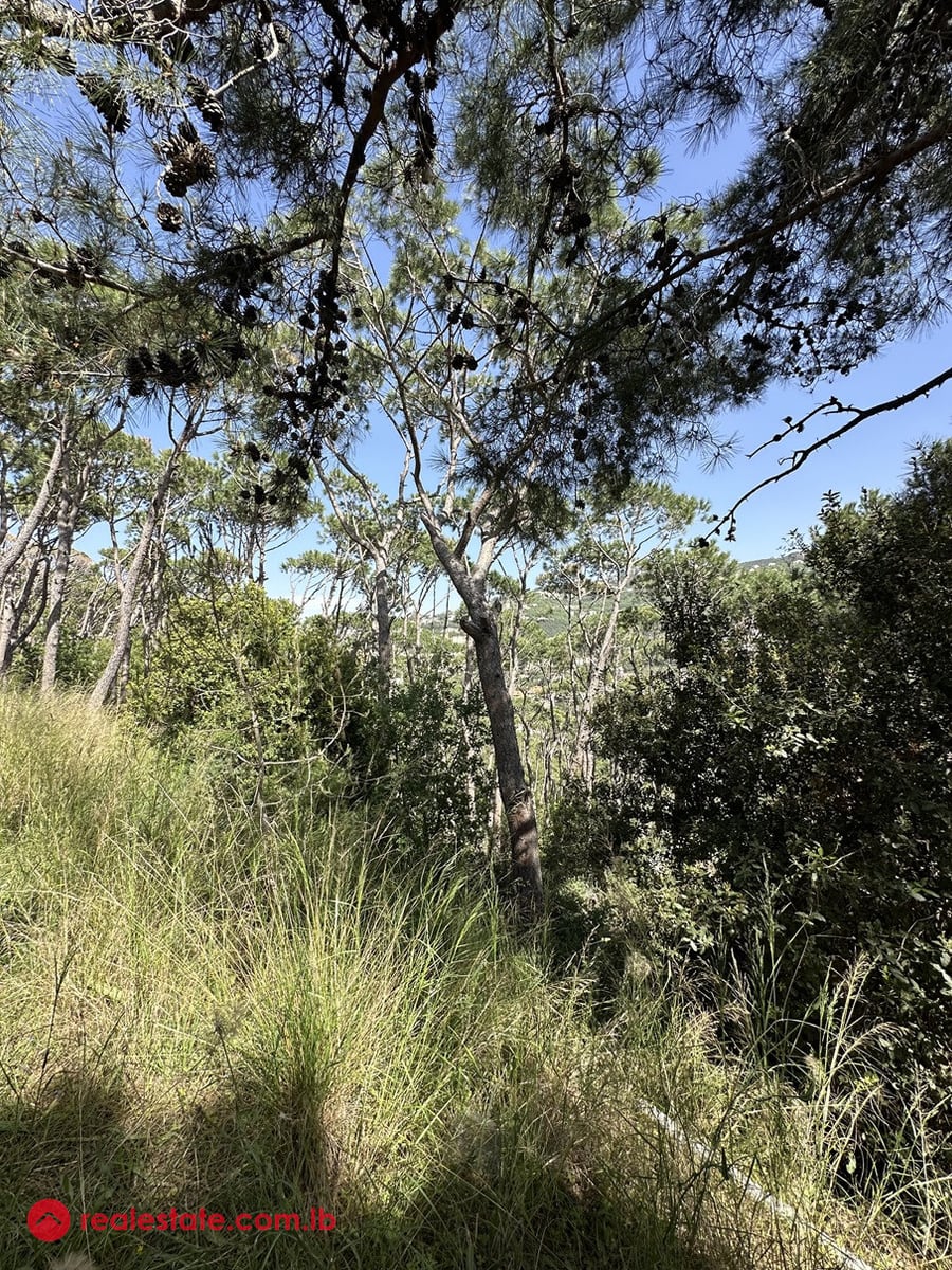 Land for Sale in Kornet Chehwan — Hub Realtors