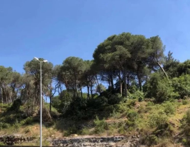 Beautiful Land | Green Neighborhood | Easy Access — Hub Realtors