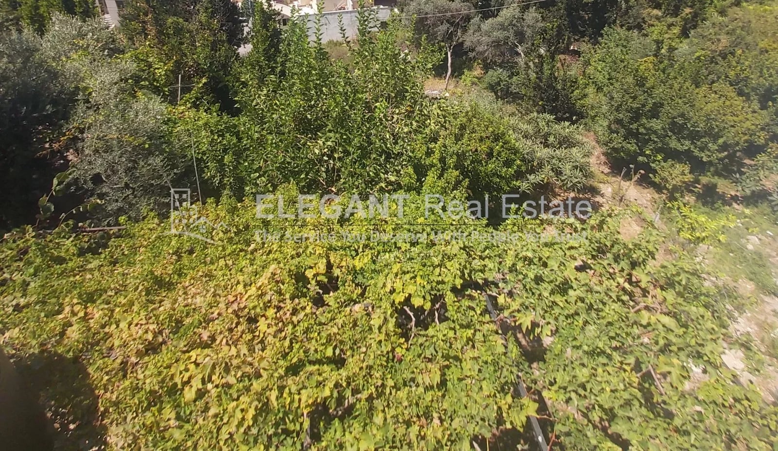 Beautiful Land | Zoning 30 – 90 | Halat — Hub Realtors