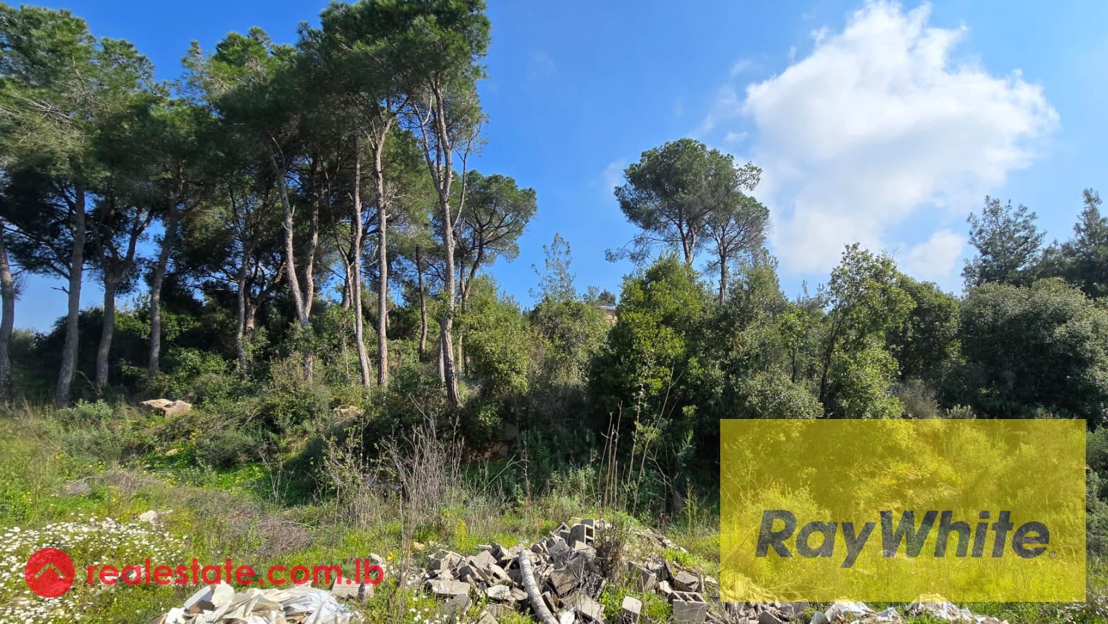 For sale 3000m2 Land in prime Ain Aar 25/50 — Hub Realtors