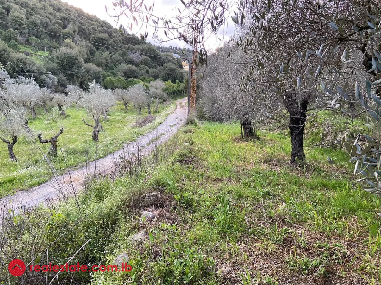 Prime 630 sqm Land in Jran El Batroun — Hub Realtors