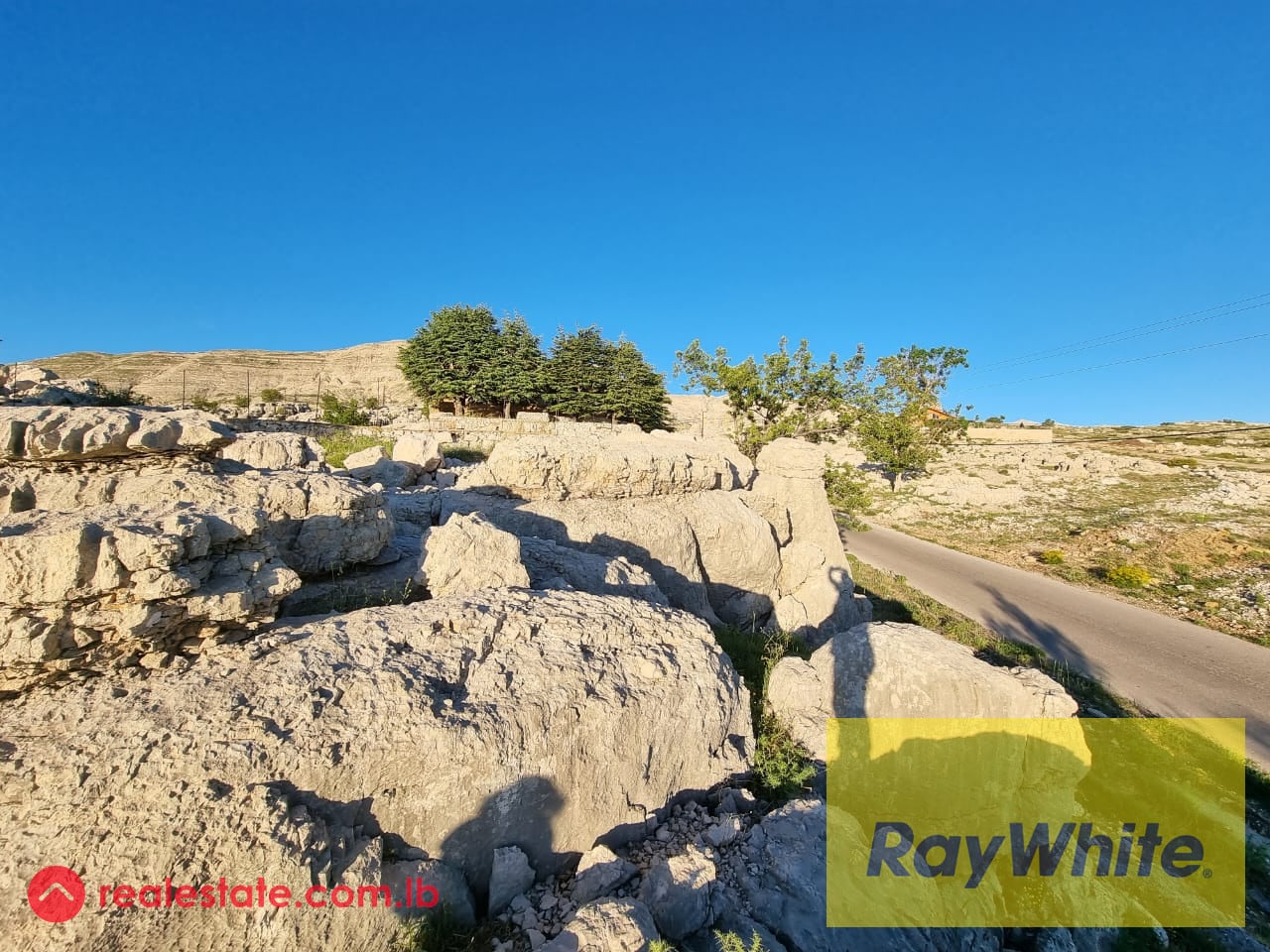 Land for sale in Qanat Bakich — Hub Realtors