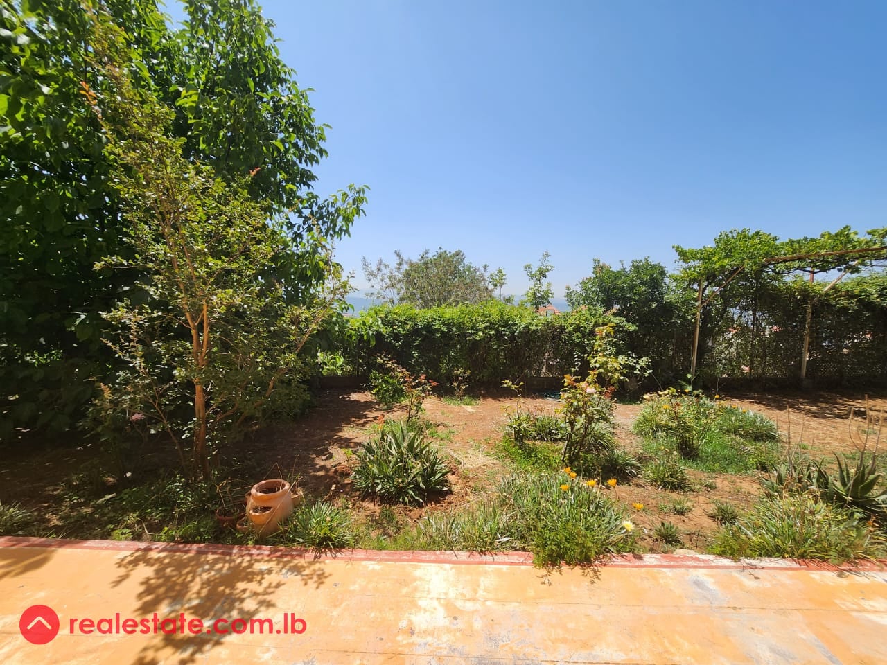 Apartment with with 900sqm Land for Sale — Hub Realtors