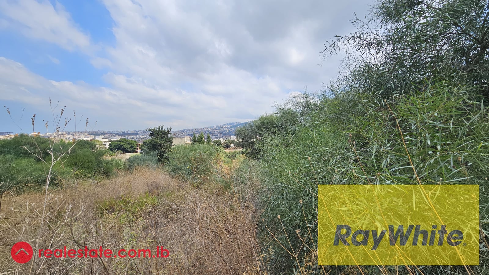 Land For sale in Yarzeh|2940m2|30|90|view — Hub Realtors