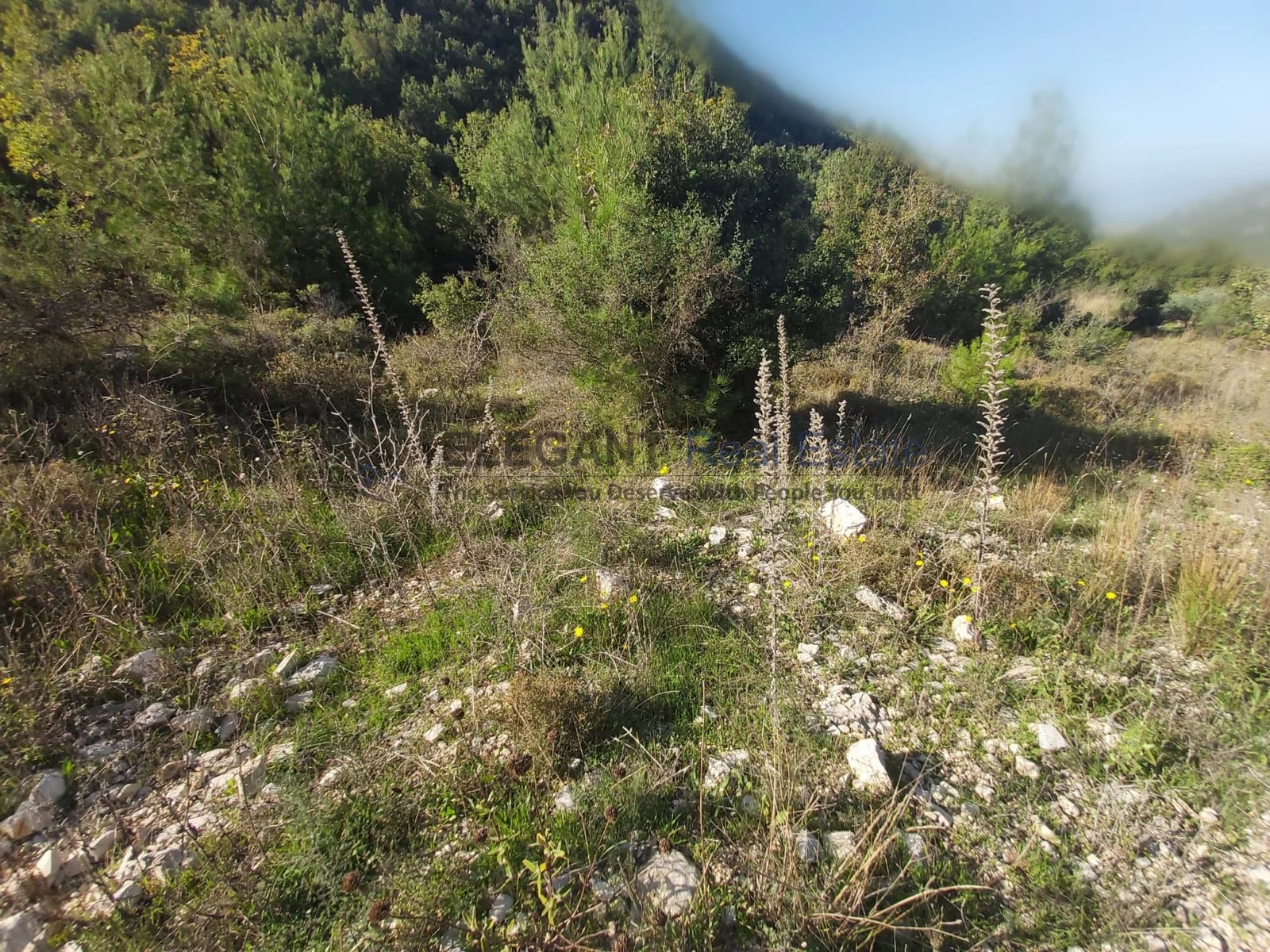 Plot Of Land | Negotiable — Hub Realtors