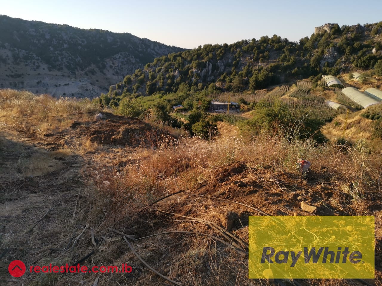 Land For Sale in Ehmez — Hub Realtors