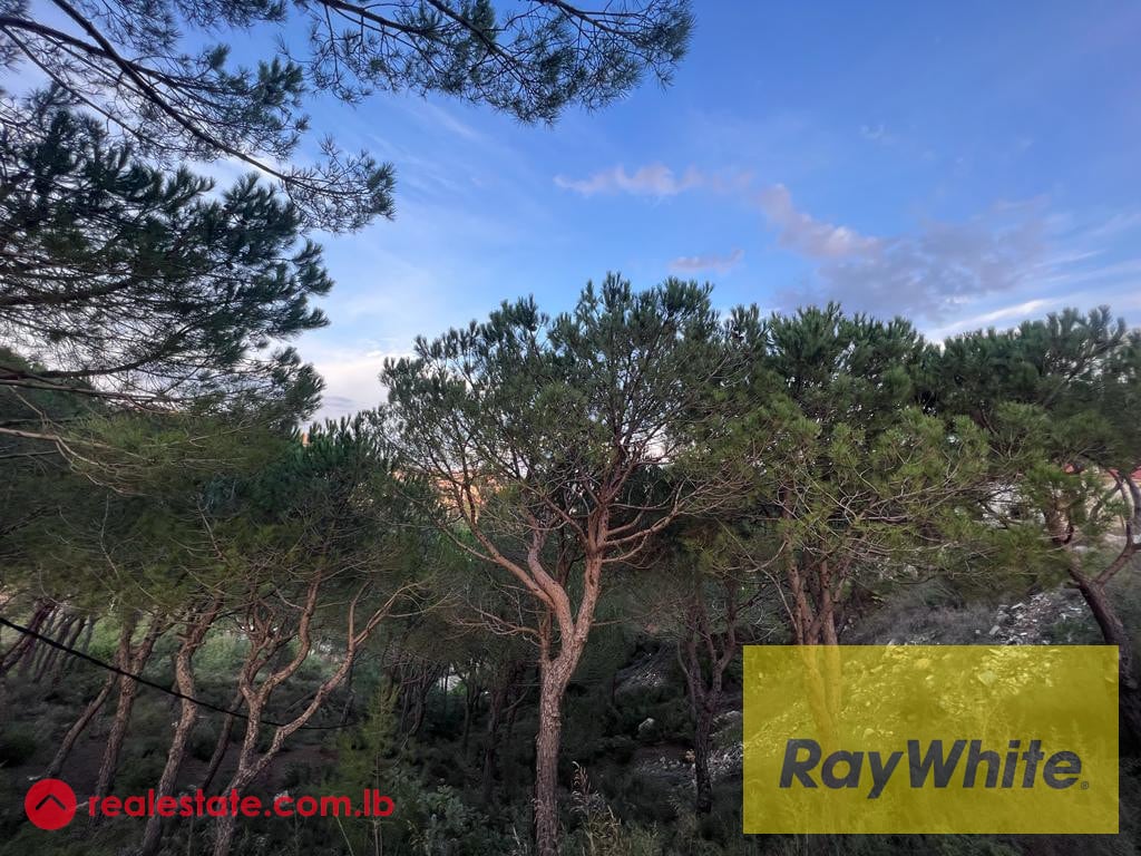 Investment Opportunity | Land For Sale in Baabdat — Hub Realtors