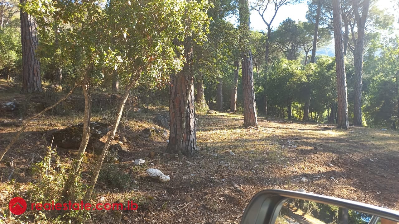 Prime Land for Sale in Bikfaya — Hub Realtors