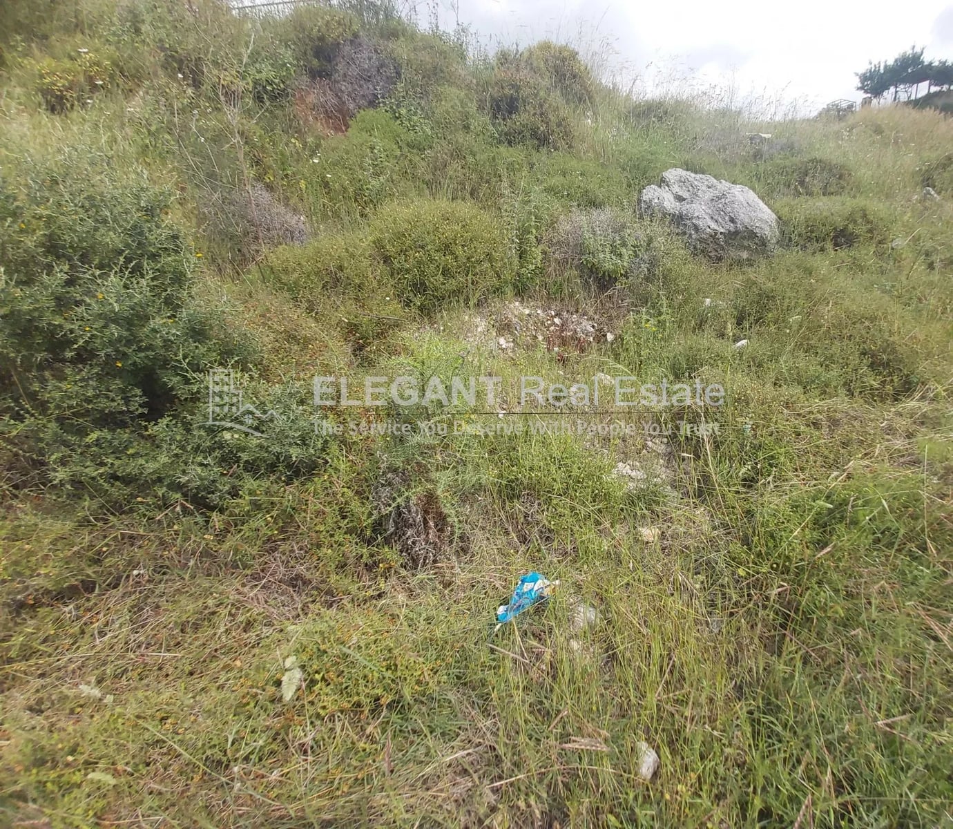 Wonderful Land | On Main Road — Hub Realtors