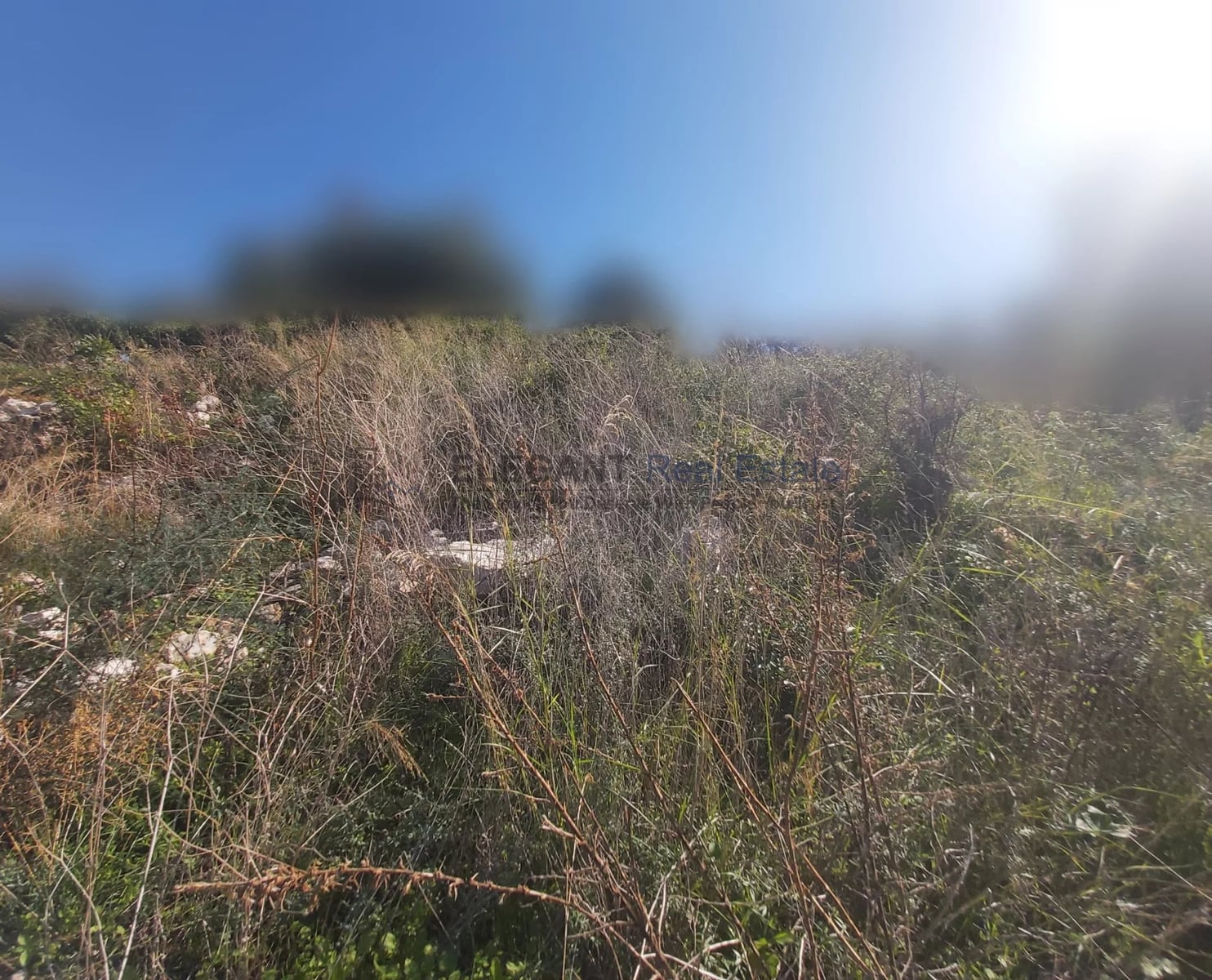 Amazing Sea View Land | Negotiable — Hub Realtors