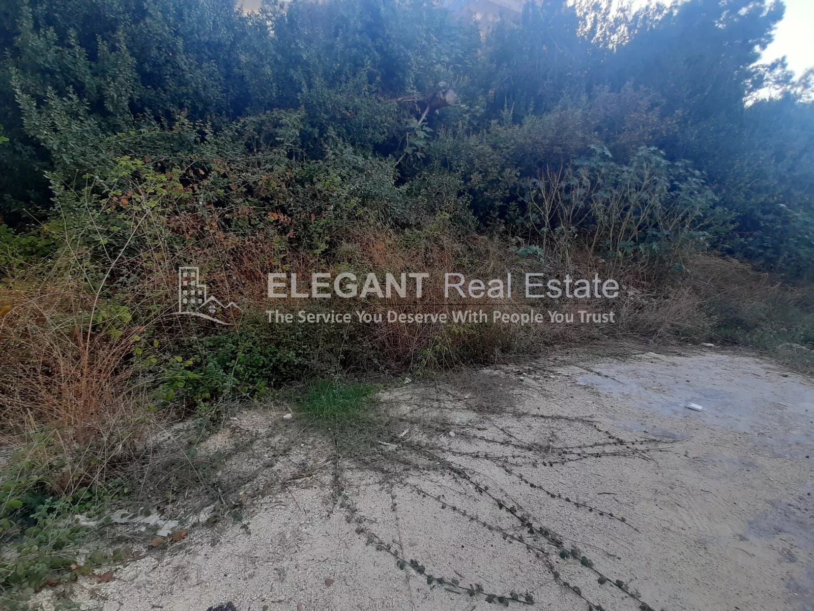 Land for Sale | Above Road | Halat — Hub Realtors