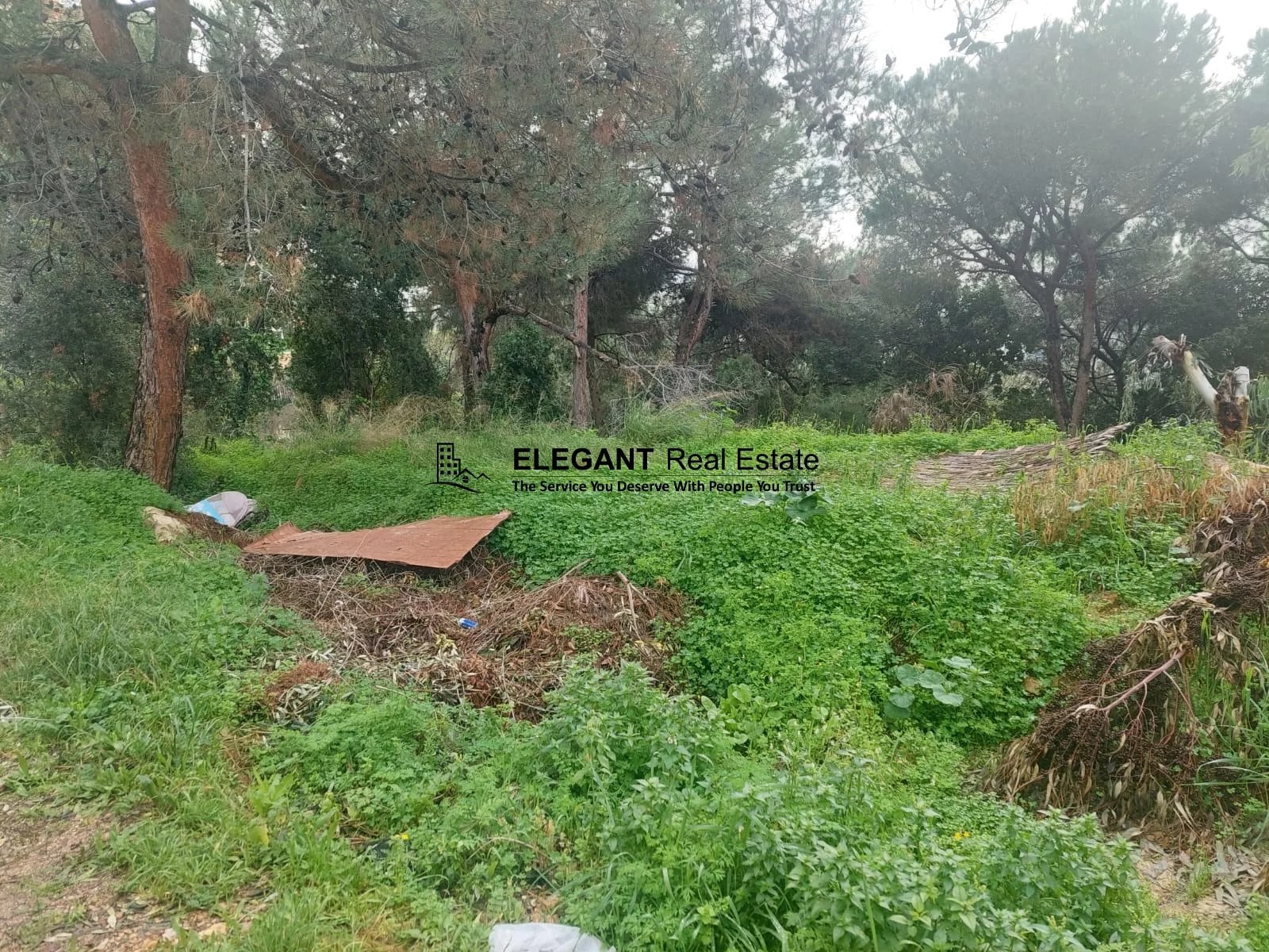 **Hot Deal **| Beautiful Land | Green-Sea View | — Hub Realtors