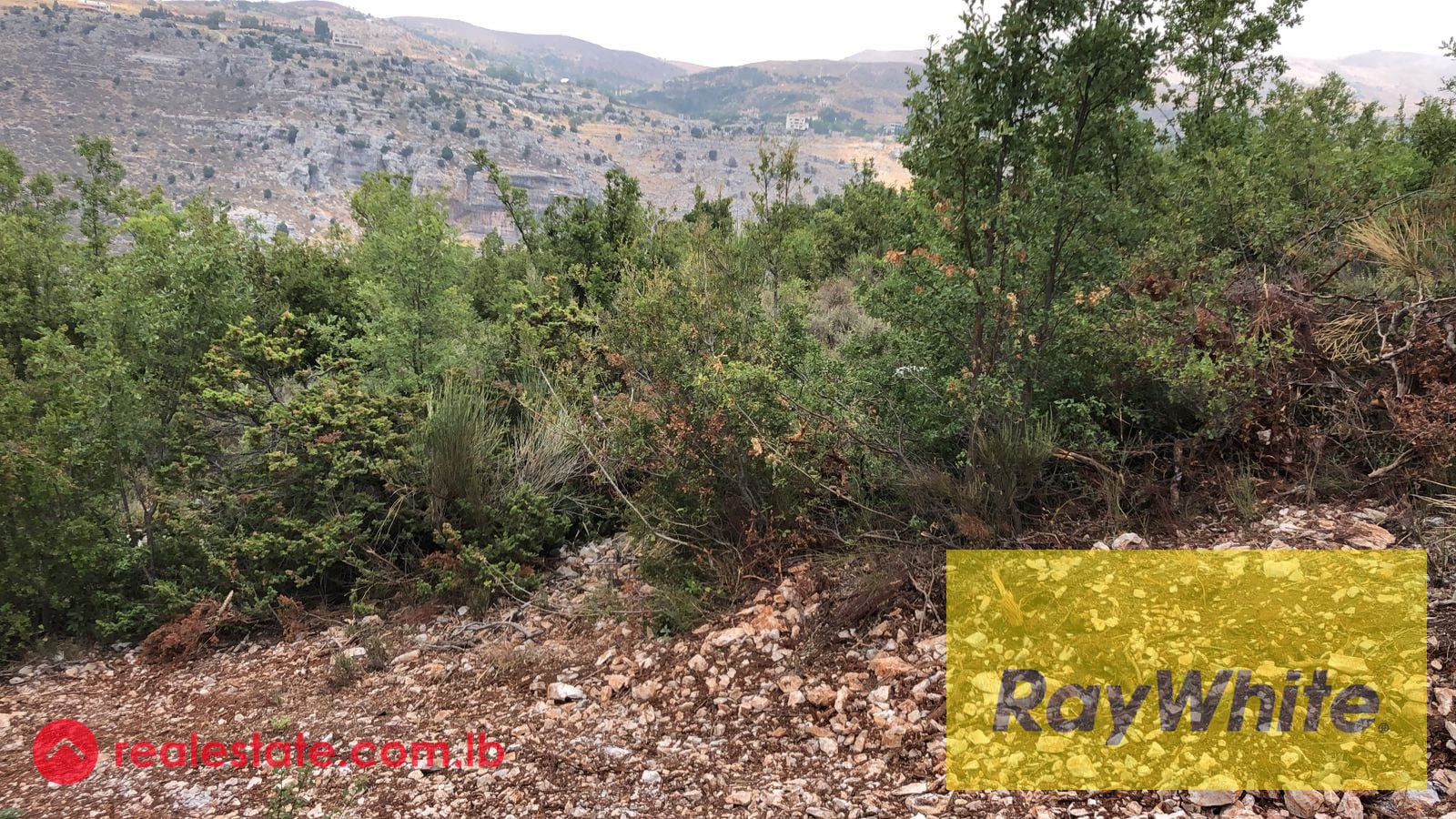 Land for Sale in Tarchich – 700 sqm | Subdivision Project – Road Access — Hub Realtors